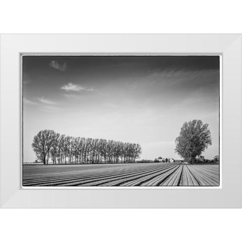 Southern Sweden-Kaseberga-plowed field-springtime White Modern Wood Framed Art Print by Bibikow, Walter