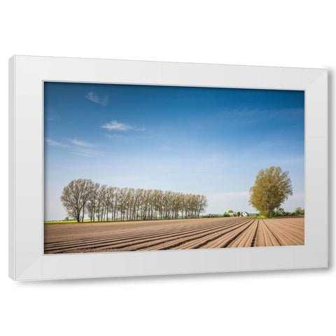 Southern Sweden-Kaseberga-plowed field-springtime White Modern Wood Framed Art Print by Bibikow, Walter