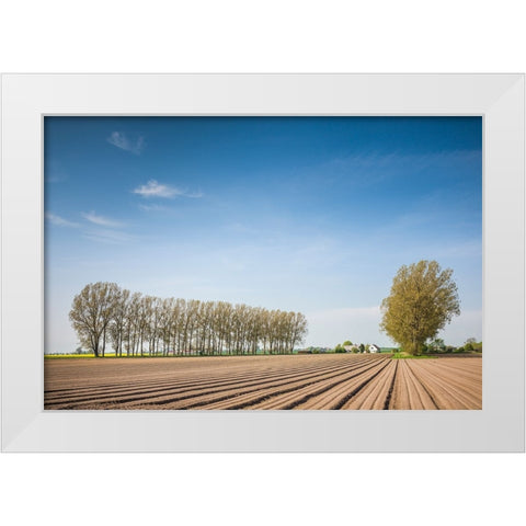 Southern Sweden-Kaseberga-plowed field-springtime White Modern Wood Framed Art Print by Bibikow, Walter