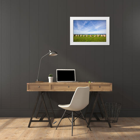 Southern Sweden-Kaseberga-Ales Stenar-Ales Stones-early peoples ritual site-600 AD White Modern Wood Framed Art Print by Bibikow, Walter