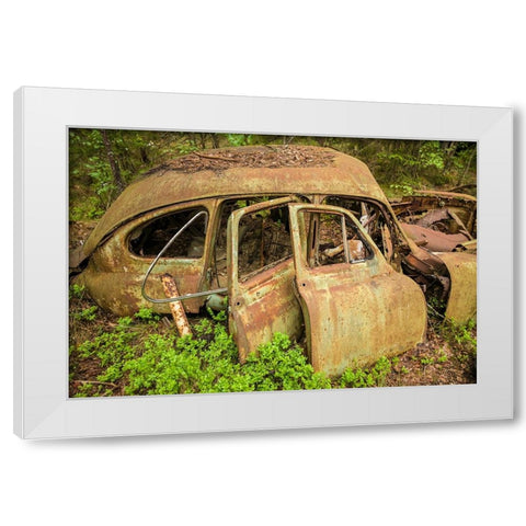 Sweden-Smaland-Ryd-Kyrko Mosse Car Cemetery-former junkyard now pubic park-junked cars White Modern Wood Framed Art Print by Bibikow, Walter
