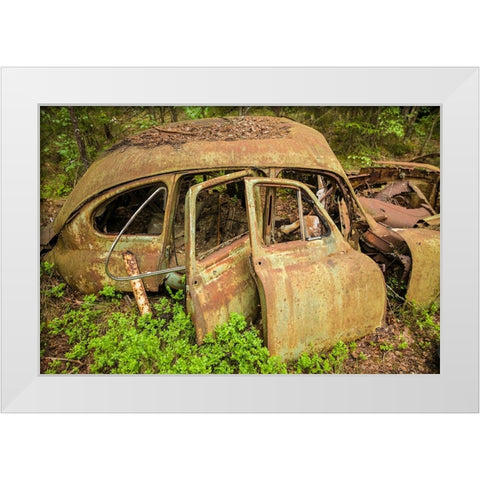 Sweden-Smaland-Ryd-Kyrko Mosse Car Cemetery-former junkyard now pubic park-junked cars White Modern Wood Framed Art Print by Bibikow, Walter