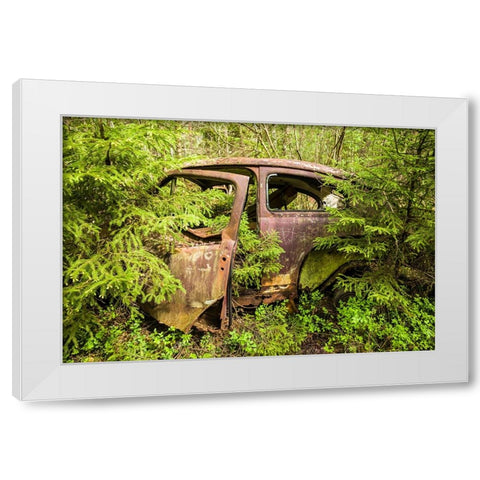 Sweden-Smaland-Ryd-Kyrko Mosse Car Cemetery-former junkyard now pubic park-junked cars White Modern Wood Framed Art Print by Bibikow, Walter