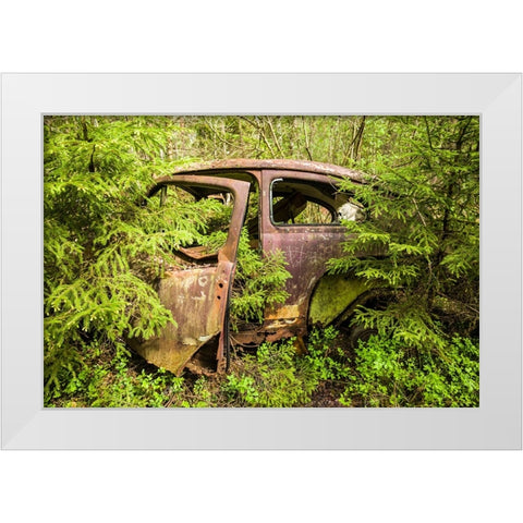 Sweden-Smaland-Ryd-Kyrko Mosse Car Cemetery-former junkyard now pubic park-junked cars White Modern Wood Framed Art Print by Bibikow, Walter