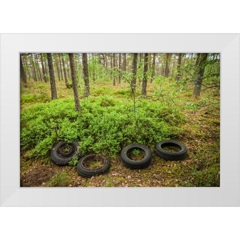 Sweden-Smaland-Ryd-Kyrko Mosse Car Cemetery-former junkyard now pubic park-old tires White Modern Wood Framed Art Print by Bibikow, Walter