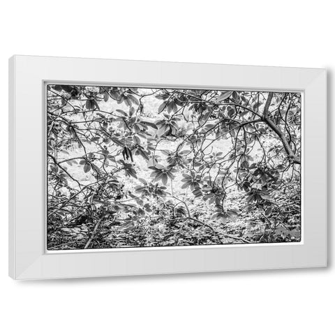 Sweden-Scania-Molle-Krapperups Slott castle-ancient home of the Gyllenstierna family-public garden- White Modern Wood Framed Art Print by Bibikow, Walter