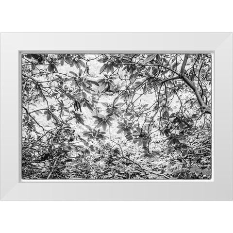 Sweden-Scania-Molle-Krapperups Slott castle-ancient home of the Gyllenstierna family-public garden- White Modern Wood Framed Art Print by Bibikow, Walter