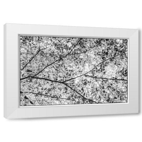 Sweden-Scania-Molle-Krapperups Slott castle-ancient home of the Gyllenstierna family-public garden- White Modern Wood Framed Art Print by Bibikow, Walter