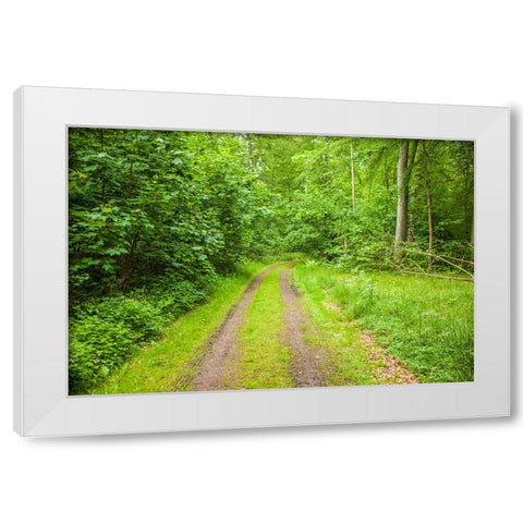 Sweden-Scania-Molle-Krapperups Slott castle-ancient home of the Gyllenstierna family-public garden- White Modern Wood Framed Art Print by Bibikow, Walter