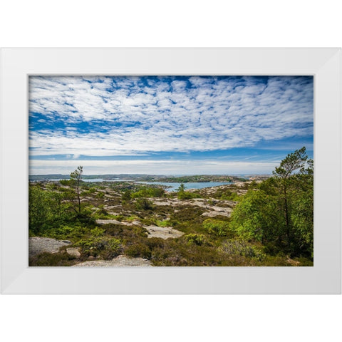 Sweden-Bohuslan-Fjallbacka-the Vetteberget cliff White Modern Wood Framed Art Print by Bibikow, Walter