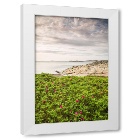 Sweden-Bohuslan-Salto Island-rocky cove seascape White Modern Wood Framed Art Print by Bibikow, Walter