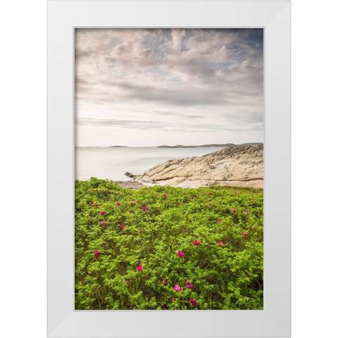 Sweden-Bohuslan-Salto Island-rocky cove seascape White Modern Wood Framed Art Print by Bibikow, Walter