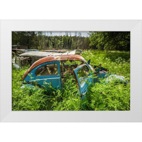 Sweden-Varmland-Bastnas-Bastnas Car Cemetery public park-antique car junkyard White Modern Wood Framed Art Print by Bibikow, Walter