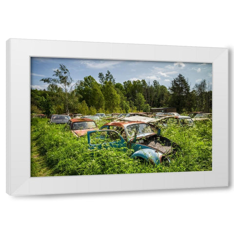 Sweden-Varmland-Bastnas-Bastnas Car Cemetery public park-antique car junkyard White Modern Wood Framed Art Print by Bibikow, Walter