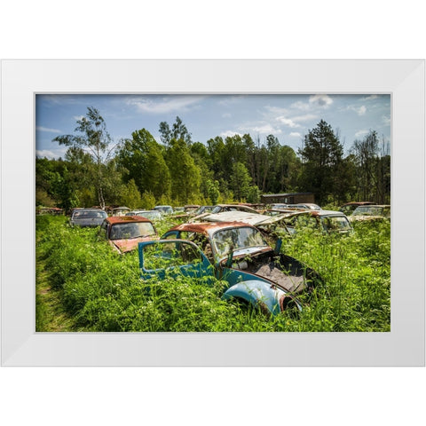 Sweden-Varmland-Bastnas-Bastnas Car Cemetery public park-antique car junkyard White Modern Wood Framed Art Print by Bibikow, Walter