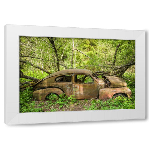 Sweden-Varmland-Bastnas-Bastnas Car Cemetery public park-antique car junkyard White Modern Wood Framed Art Print by Bibikow, Walter