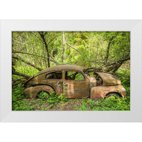 Sweden-Varmland-Bastnas-Bastnas Car Cemetery public park-antique car junkyard White Modern Wood Framed Art Print by Bibikow, Walter