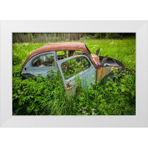 Sweden-Varmland-Bastnas-Bastnas Car Cemetery public park-antique car junkyard White Modern Wood Framed Art Print by Bibikow, Walter