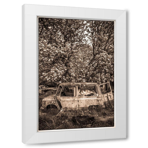 Sweden-Varmland-Bastnas-Bastnas Car Cemetery public park-antique car junkyard White Modern Wood Framed Art Print by Bibikow, Walter