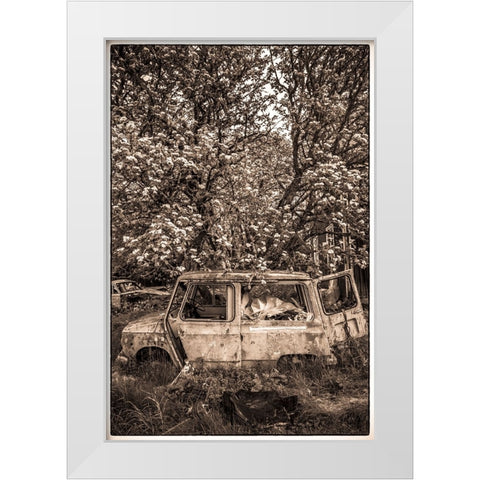 Sweden-Varmland-Bastnas-Bastnas Car Cemetery public park-antique car junkyard White Modern Wood Framed Art Print by Bibikow, Walter
