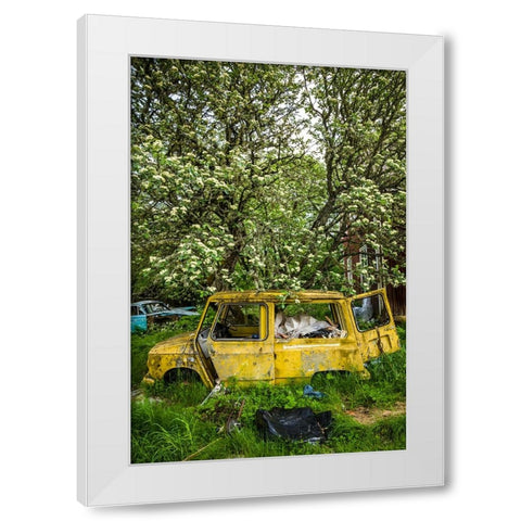 Sweden-Varmland-Bastnas-Bastnas Car Cemetery public park-antique car junkyard White Modern Wood Framed Art Print by Bibikow, Walter