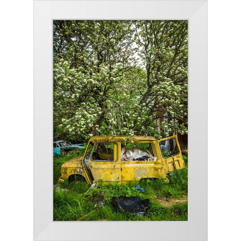 Sweden-Varmland-Bastnas-Bastnas Car Cemetery public park-antique car junkyard White Modern Wood Framed Art Print by Bibikow, Walter