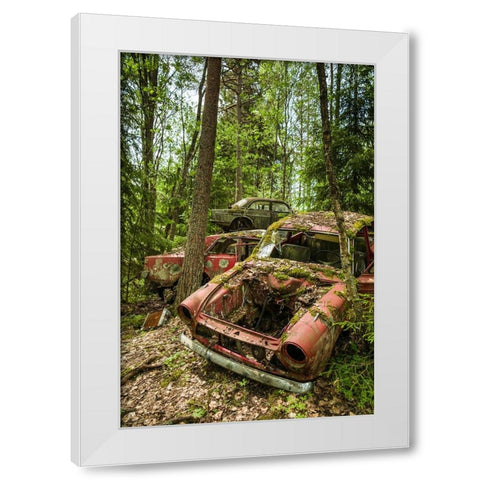 Sweden-Varmland-Bastnas-Bastnas Car Cemetery public park-antique car junkyard White Modern Wood Framed Art Print by Bibikow, Walter