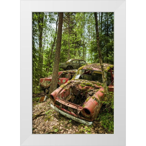 Sweden-Varmland-Bastnas-Bastnas Car Cemetery public park-antique car junkyard White Modern Wood Framed Art Print by Bibikow, Walter