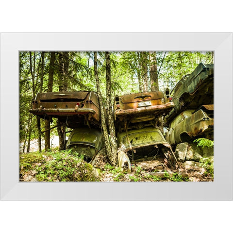 Sweden-Varmland-Bastnas-Bastnas Car Cemetery public park-antique car junkyard White Modern Wood Framed Art Print by Bibikow, Walter