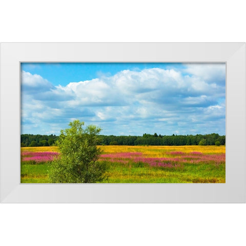 Farmland and flower fields-Estonia White Modern Wood Framed Art Print by Su, Keren
