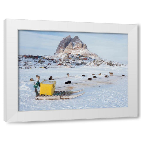 Team of sled dog during winter in Uummannaq in Greenland White Modern Wood Framed Art Print by Zwick, Martin