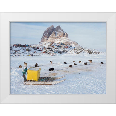 Team of sled dog during winter in Uummannaq in Greenland White Modern Wood Framed Art Print by Zwick, Martin