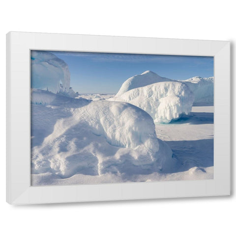 Icebergs frozen into the sea ice of the Uummannaq fjord system during winter-Greenland-Danish Terri White Modern Wood Framed Art Print by Zwick, Martin