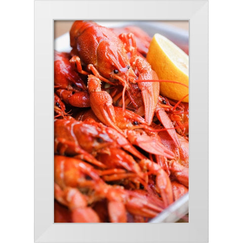 Crayfish close-up White Modern Wood Framed Art Print by Majority World CIC