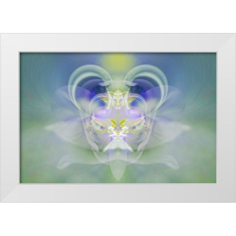 Star of Bethlehem White Modern Wood Framed Art Print by Jones, Adam