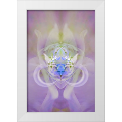 Star of Bethlehem and Iris in background White Modern Wood Framed Art Print by Jones, Adam