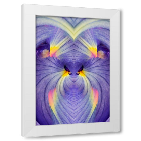 Abstract Iris flowers White Modern Wood Framed Art Print by Jones, Adam