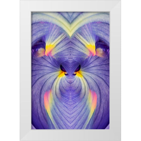 Abstract Iris flowers White Modern Wood Framed Art Print by Jones, Adam