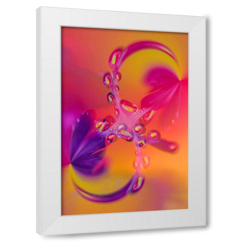 Close-up of flower reflected in waterdrop White Modern Wood Framed Art Print by Jones, Adam