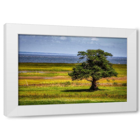 Lone Tree in Coastal Marshland White Modern Wood Framed Art Print by Miller, Anna