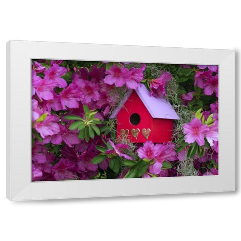 Birdhouse and Azaleas in Garden White Modern Wood Framed Art Print by Rotenberg, Nancy