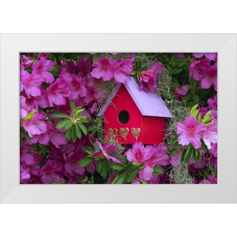 Birdhouse and Azaleas in Garden White Modern Wood Framed Art Print by Rotenberg, Nancy