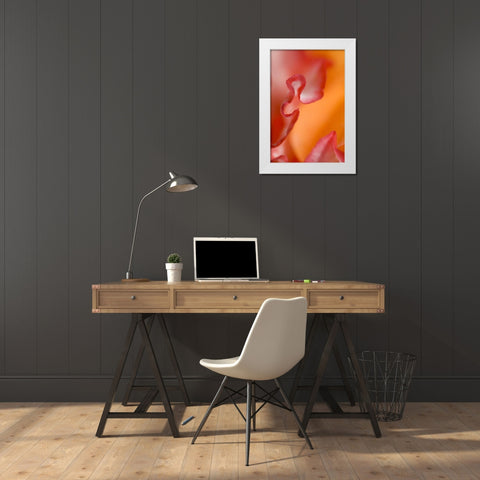 Flower petal edges White Modern Wood Framed Art Print by Rotenberg, Nancy