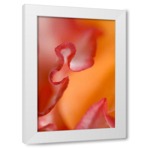 Flower petal edges White Modern Wood Framed Art Print by Rotenberg, Nancy