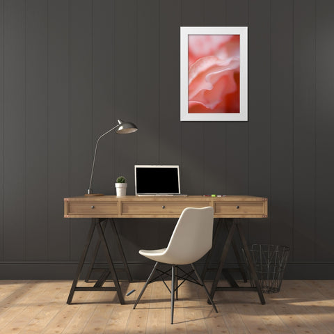 Flower petal edges White Modern Wood Framed Art Print by Rotenberg, Nancy