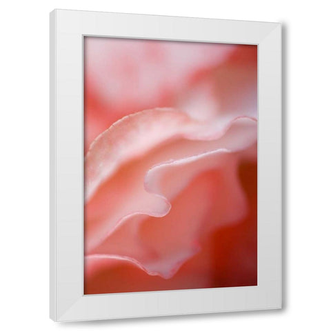 Flower petal edges White Modern Wood Framed Art Print by Rotenberg, Nancy
