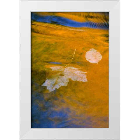 Fall reflections in water White Modern Wood Framed Art Print by Rotenberg, Nancy