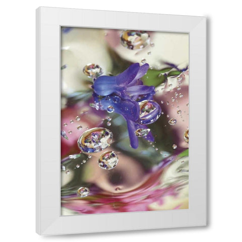 Hyacinth Bud on Mylar With Reflections White Modern Wood Framed Art Print by Rotenberg, Nancy