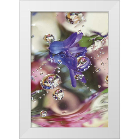 Hyacinth Bud on Mylar With Reflections White Modern Wood Framed Art Print by Rotenberg, Nancy