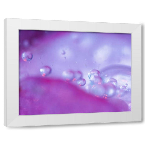 Dew drops on flower petal abstract White Modern Wood Framed Art Print by Rotenberg, Nancy